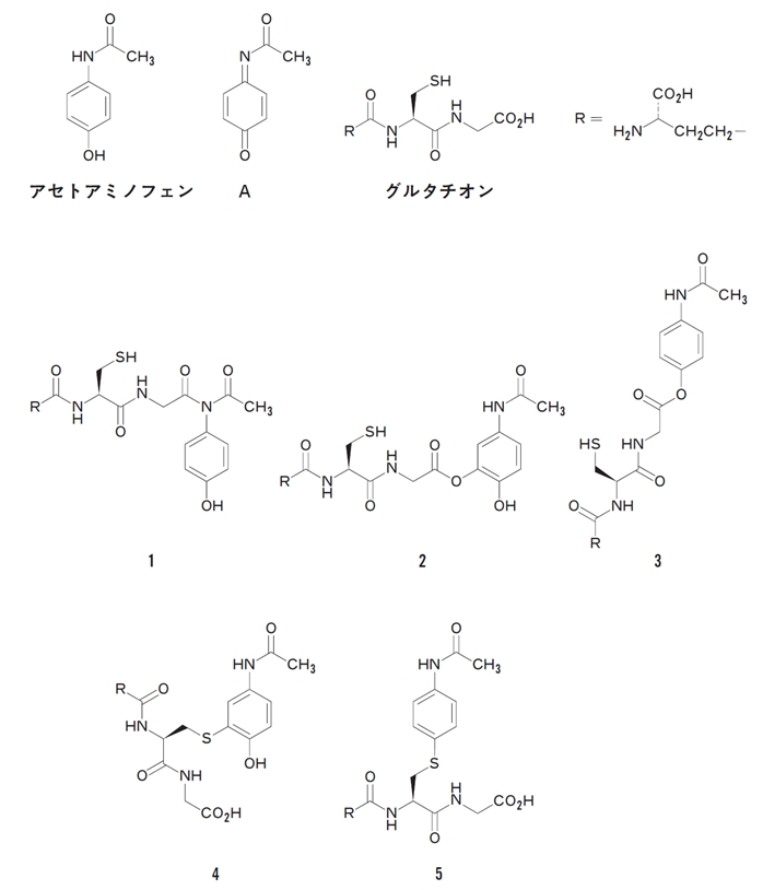 アセトアミノフェン代謝物 グルタチオン付加,機構 102回薬剤師国家試験問209